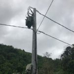 L’Etat soucieux du bon fonctionnement du réseau électrique