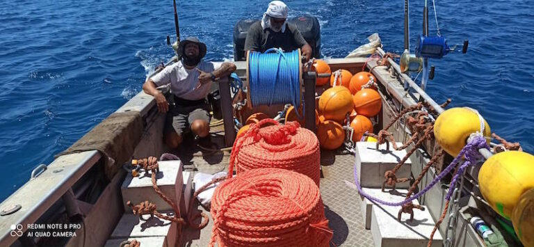 Quarantequatre dispositifs de concentration de poissons